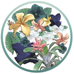 Auburn Electrology, Skin and Nail Care is a private and discreet salon, spa and overall beauty treatment center located in Auburn, Washington which is easily accessible to Kent, Bonney Lake, Puyallup, Renton, Covington and Federal Way.